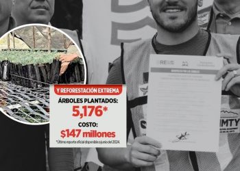 Reforestación Extrema