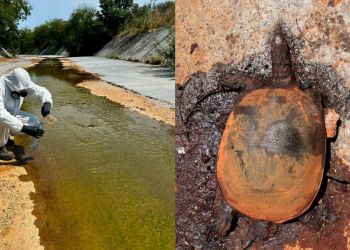 Derrame de Ternium en arroyo La Talaverna