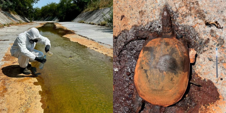Derrame De Ternium En Arroyo La Talaverna - Entre Regios