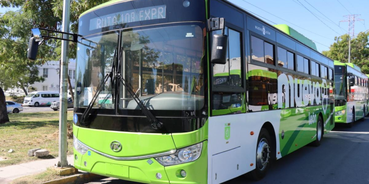 Camiones Verdes Siguen Fallando - Entre Regios