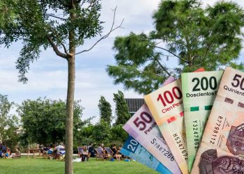 Jesús Nava venderá 19 áreas verdes en Santa Catarina