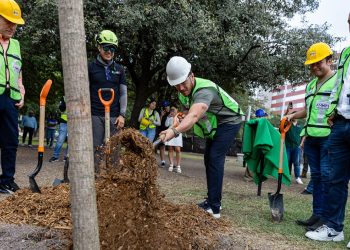 Samuel GarcÍa ReforestaciÓn Extrema Árbole - Entre Regios ReforestaciÓn-samuel-garcÍa-Árboles - Entre Regios