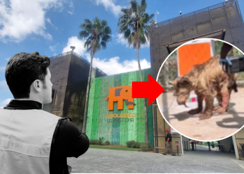 Maltrato Animal De Samuel - Entre Regios Maltrato Animal De Samuel - Entre Regios