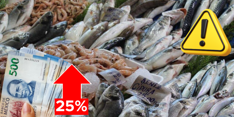 Críticas Al Gobierno De Nuevo León - Entre Regios